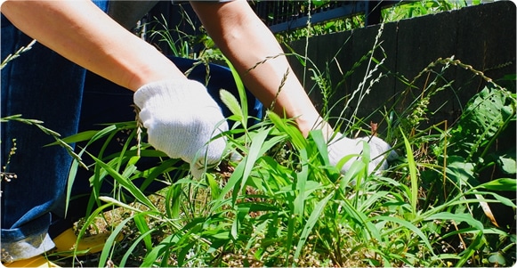 お庭の雑草、伸び切っていませんか？