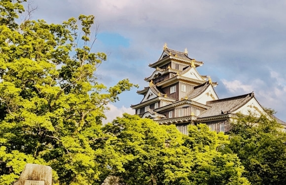 介護サービス付きで安心の「旅」をご提供！