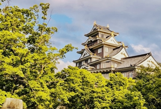 観光・旅行付き添いサービス